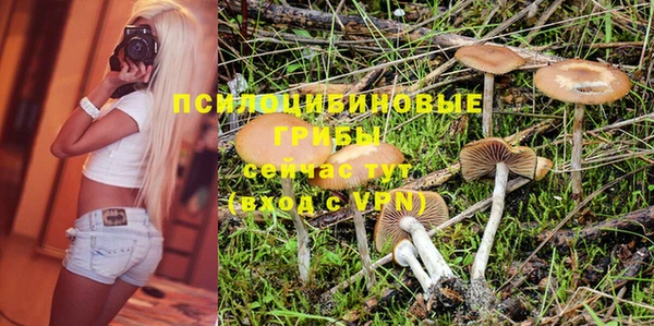 прущие крисы Алексин