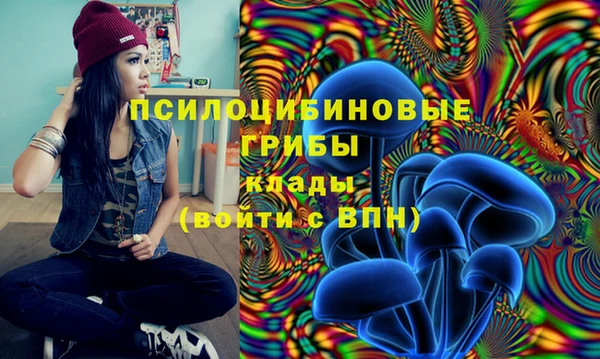 прущие крисы Алексин