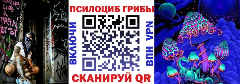 Галлюциногенные грибы Psilocybine cubensis  даркнет сайт  Зверево 